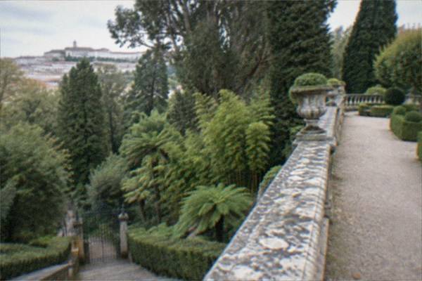 Three Hours, Botanic Garden Walk, Coimbra