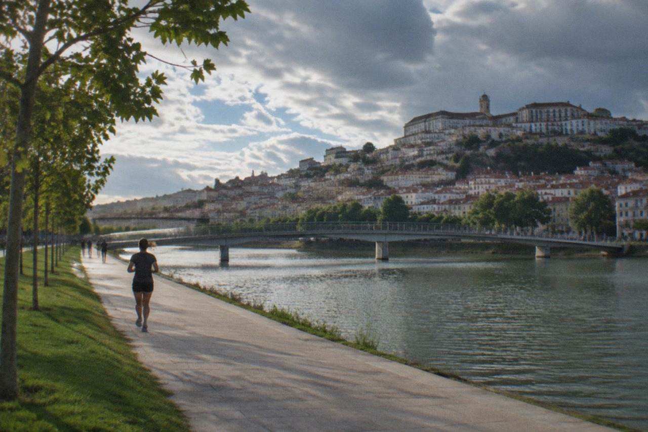 The hillside of Coimbra with the university buildings rising above the River Mondego