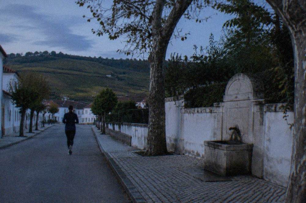 Rows of grapevines on rolling hills in the Bairrada wine region south of Coimbra under a clear sky