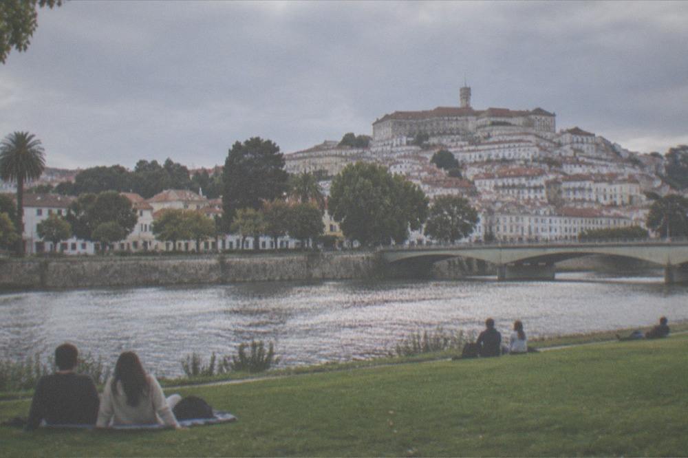 Visitors resting on a riverside lawn in the green park with the bridge and city beyond