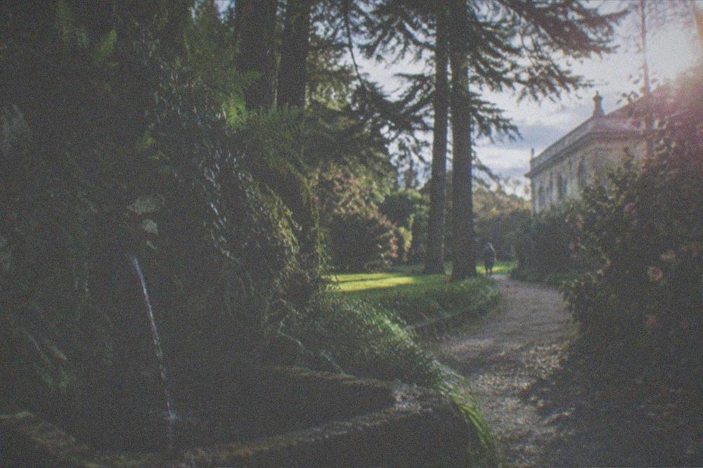 Sunlight through tall trees onto a garden lawn beside a historic stone building