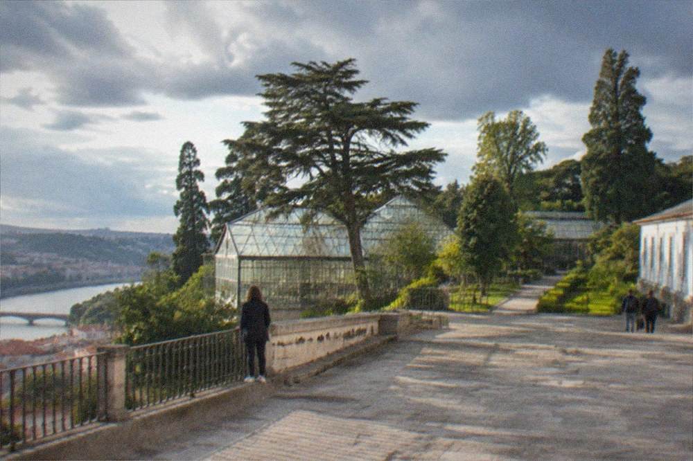 Greenhouses and tree-lined paths of the University of Coimbra Botanical Garden