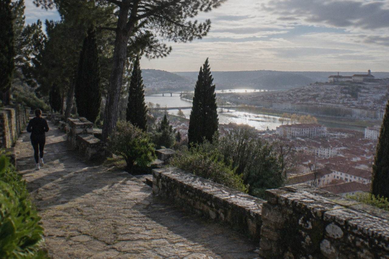 Panoramic view over Coimbra's old town rooftops toward the River Mondego