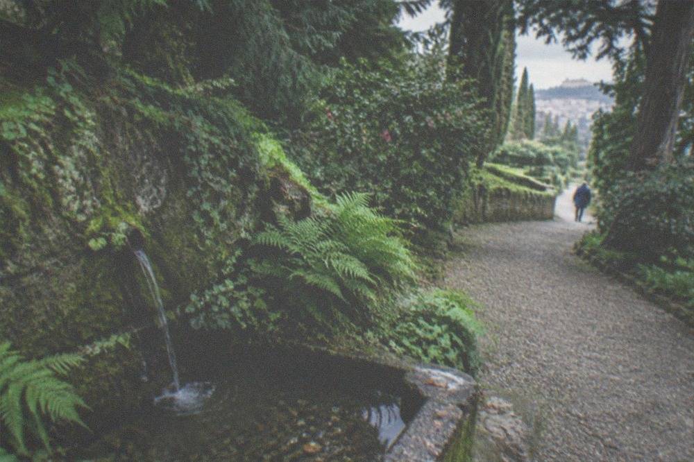Formal gardens with clipped hedges, stone fountains and tall cypress trees in warm afternoon light