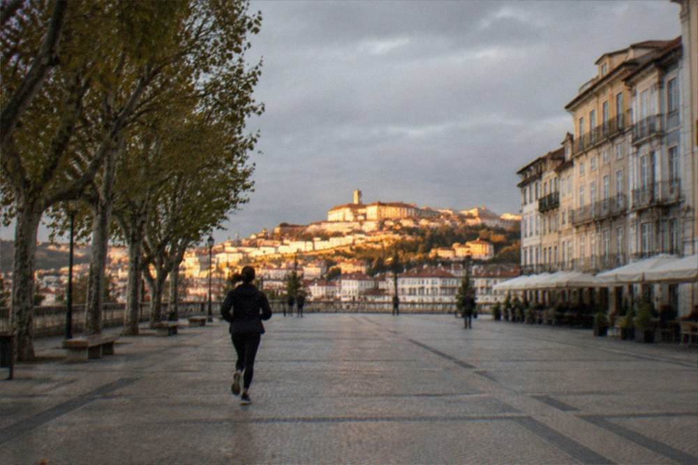 The university hill of Coimbra seen from across the rooftops in golden light