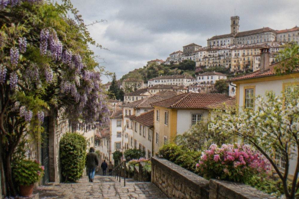 Wisteria and spring flowers on a stone staircase in Coimbra's old town