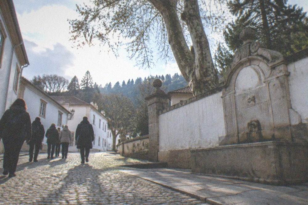 A small group following a guide down a narrow cobbled street in an old Portuguese university town